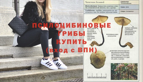 кристаллы Алексин
