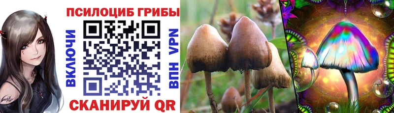 Купить где  Качканар  Галлюциногенные грибы мухоморы 